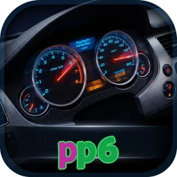 pp6